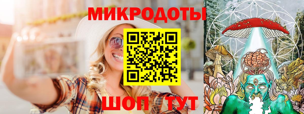 Галлюциногенные грибы Psilocybe Сунжа